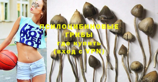 гидропоника Белокуриха
