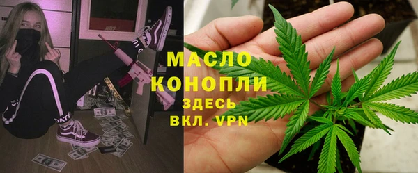 крисы Елабуга
