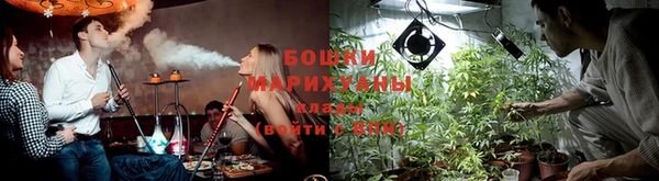 прущие крисы Елизово