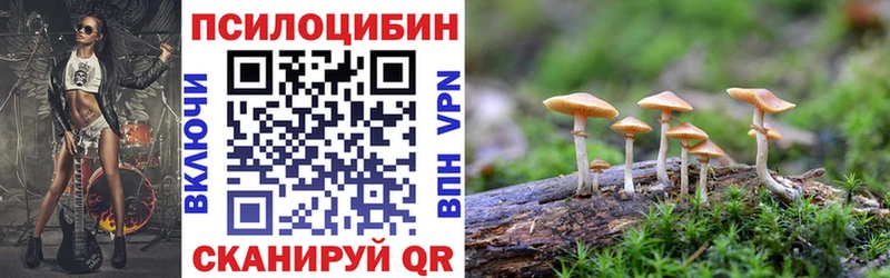 Галлюциногенные грибы мухоморы  Щучье 